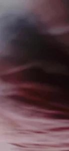 车震人妻后续来了