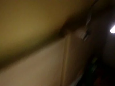 [原创] 巨乳学生妹口交+前戏